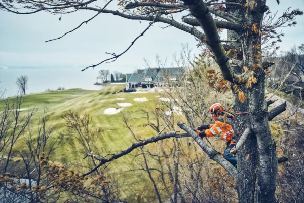 Akumulátorová řetězová pila HUSQVARNA T542i XP - Obrázek 5